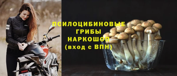 гашиш Новодвинск