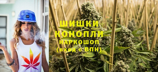 трава Новозыбков