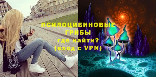 трава Новозыбков