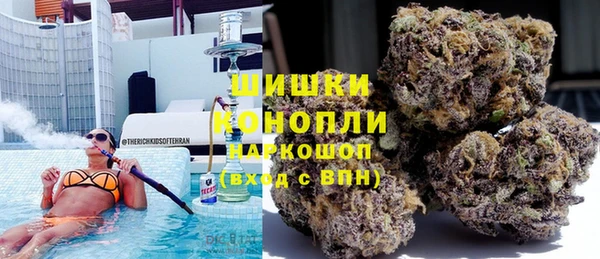 трава Новозыбков
