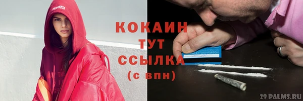 трава Новозыбков