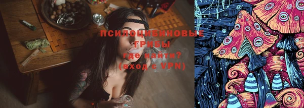 ПСИЛОЦИБИНОВЫЕ ГРИБЫ Новокубанск