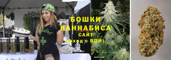 ПСИЛОЦИБИНОВЫЕ ГРИБЫ Новокубанск