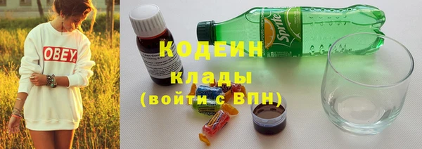 СК Болотное