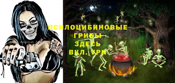 гашиш Новодвинск