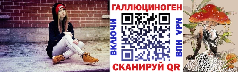 kraken ТОР наркотики Тавда Псилоцибиновые грибы ЛСД