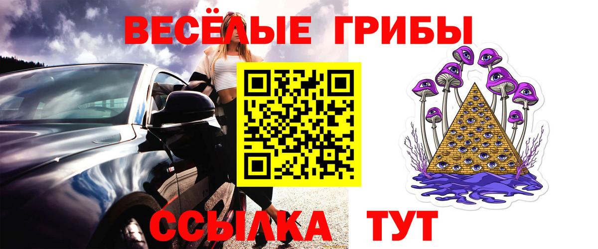 Галлюциногенные грибы GOLDEN TEACHER  Вход с VPN  Тавда  Псилоцибиновые грибы Magic Shrooms 