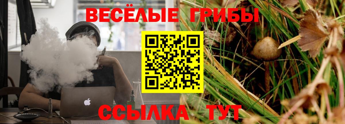 Галлюциногенные грибы GOLDEN TEACHER Тавда
