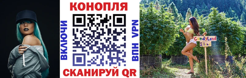 Канабис план  закладки  Тавда 